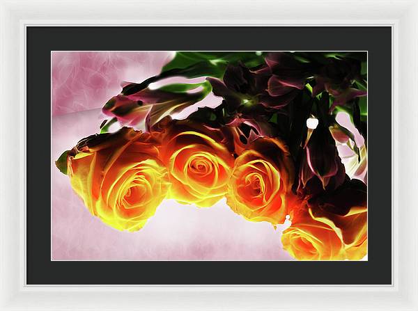 Mini Orange Roses on Pink - Framed Print