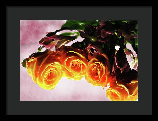 Mini Orange Roses on Pink - Framed Print