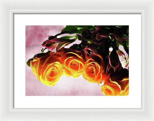 Mini Orange Roses on Pink - Framed Print