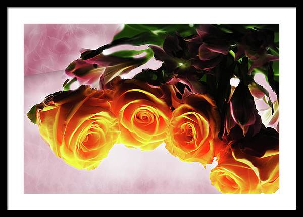 Mini Orange Roses on Pink - Framed Print