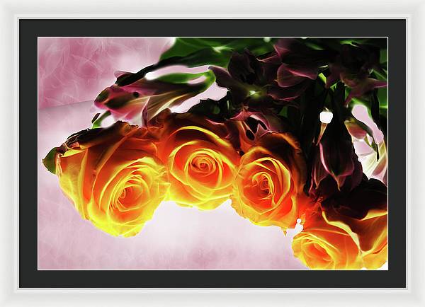 Mini Orange Roses on Pink - Framed Print