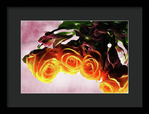 Mini Orange Roses on Pink - Framed Print