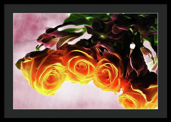 Mini Orange Roses on Pink - Framed Print