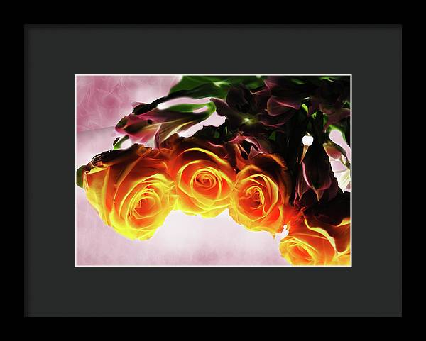 Mini Orange Roses on Pink - Framed Print