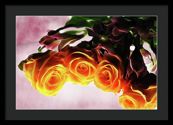 Mini Orange Roses on Pink - Framed Print