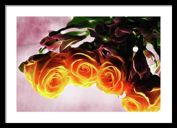 Mini Orange Roses on Pink - Framed Print