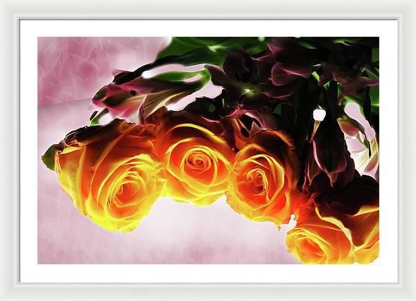 Mini Orange Roses on Pink - Framed Print