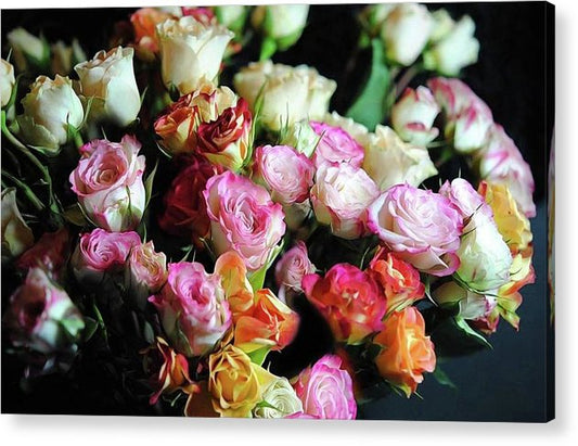 Mini Tea Roses - Acrylic Print