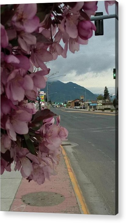 Montana Landscape - Acrylic Print