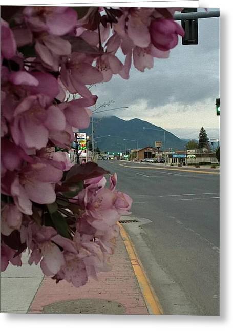 Montana Landscape - Greeting Card
