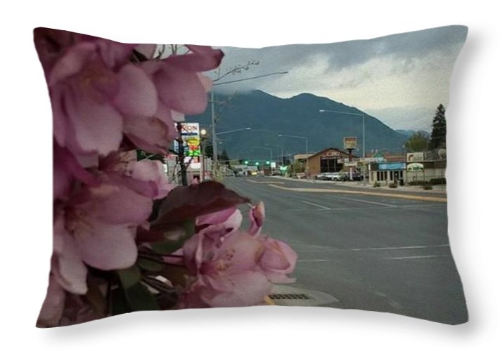 Montana Landscape - Throw Pillow