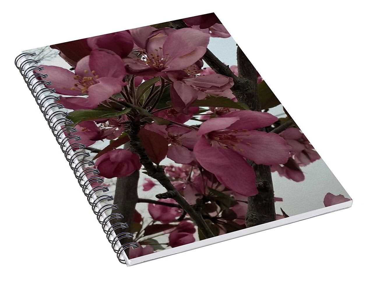 Montana Tree Flowers in Pink - Spiral Notebook