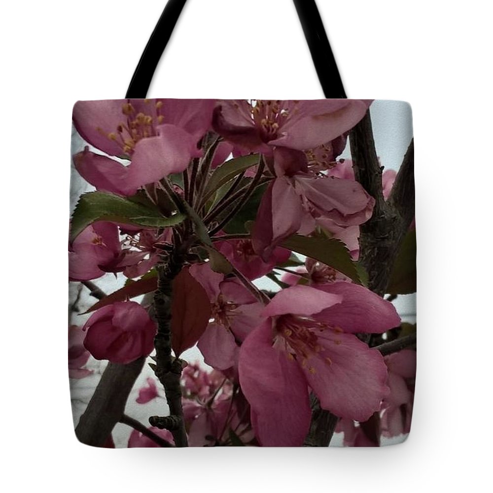 Montana Tree Flowers in Pink - Tote Bag