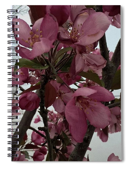 Montana Tree Flowers in Pink - Spiral Notebook