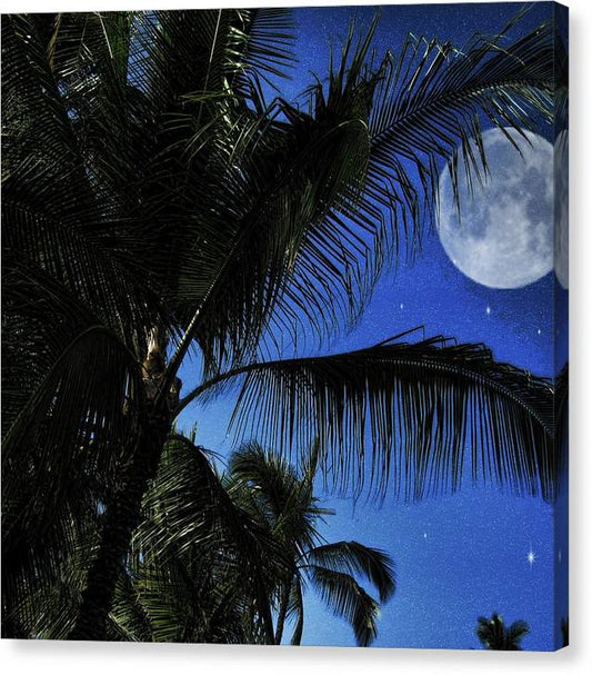 Moon Over Palm Trees - Canvas Print