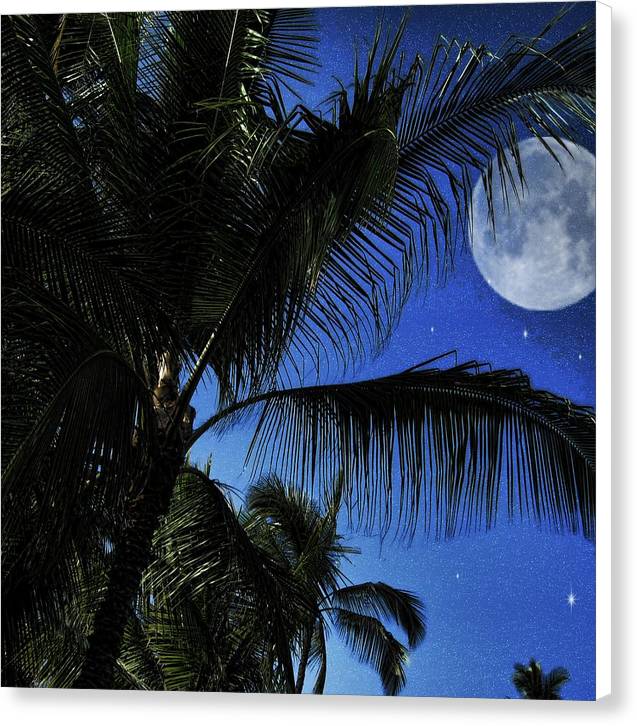 Moon Over Palm Trees - Canvas Print