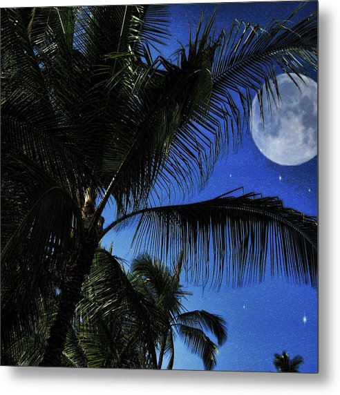 Moon Over Palm Trees - Metal Print