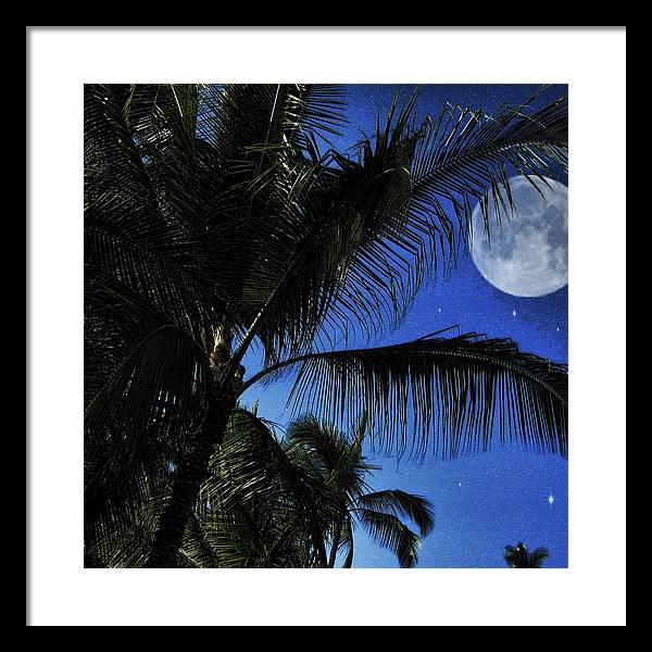 Moon Over Palm Trees - Framed Print