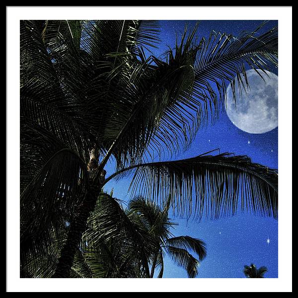 Moon Over Palm Trees - Framed Print