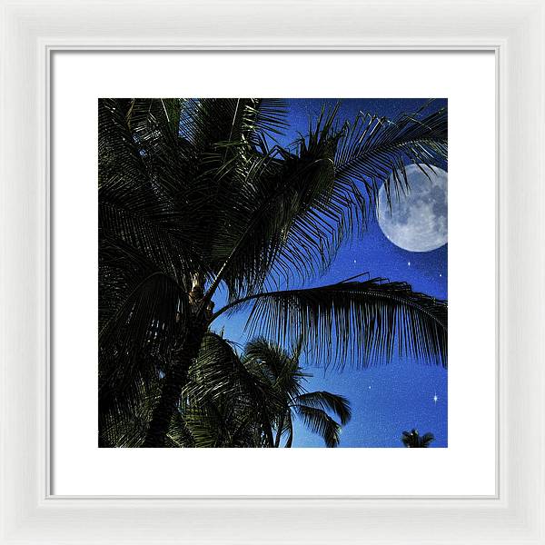 Moon Over Palm Trees - Framed Print