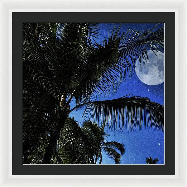 Moon Over Palm Trees - Framed Print