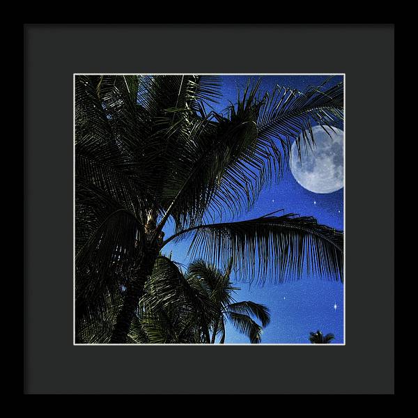 Moon Over Palm Trees - Framed Print