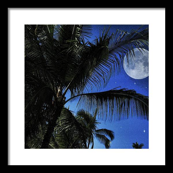 Moon Over Palm Trees - Framed Print