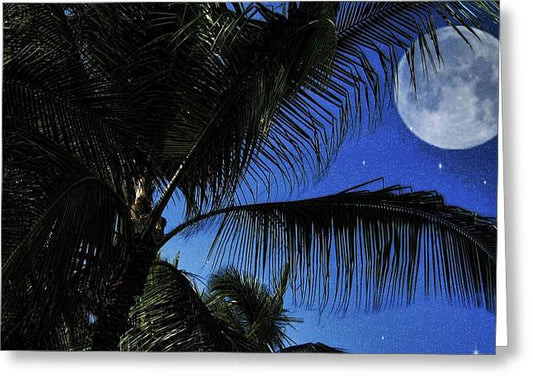 Moon Over Palm Trees - Greeting Card
