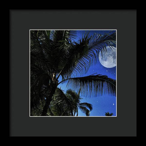 Moon Over Palm Trees - Framed Print