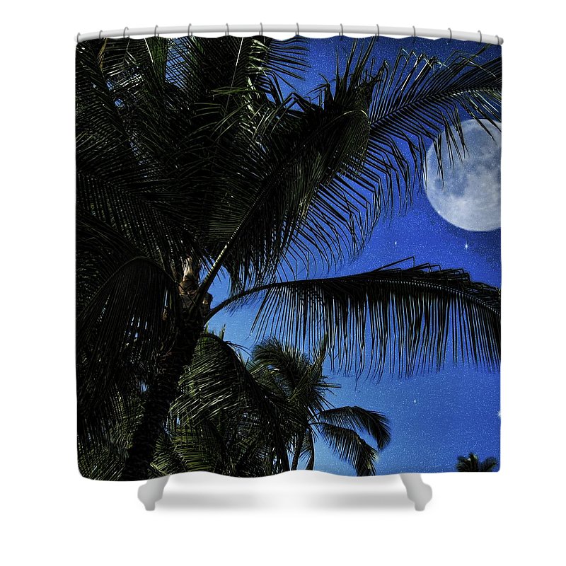 Moon Over Palm Trees - Shower Curtain
