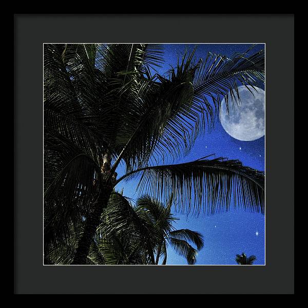 Moon Over Palm Trees - Framed Print