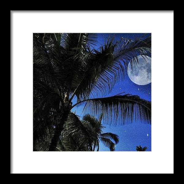 Moon Over Palm Trees - Framed Print