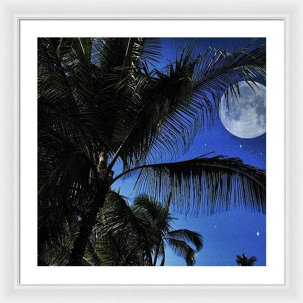 Moon Over Palm Trees - Framed Print