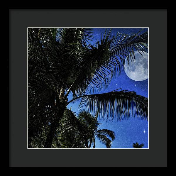 Moon Over Palm Trees - Framed Print