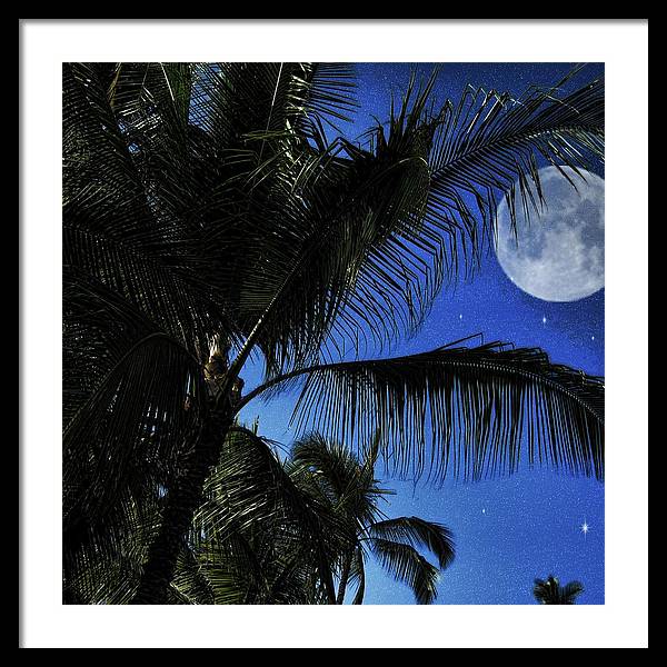 Moon Over Palm Trees - Framed Print