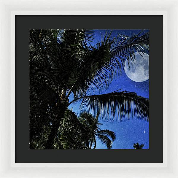 Moon Over Palm Trees - Framed Print