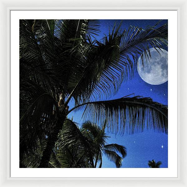 Moon Over Palm Trees - Framed Print