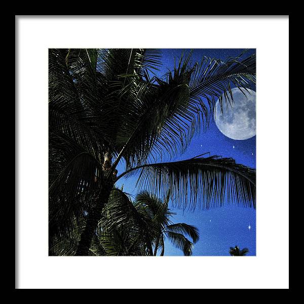 Moon Over Palm Trees - Framed Print