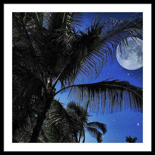 Moon Over Palm Trees - Framed Print