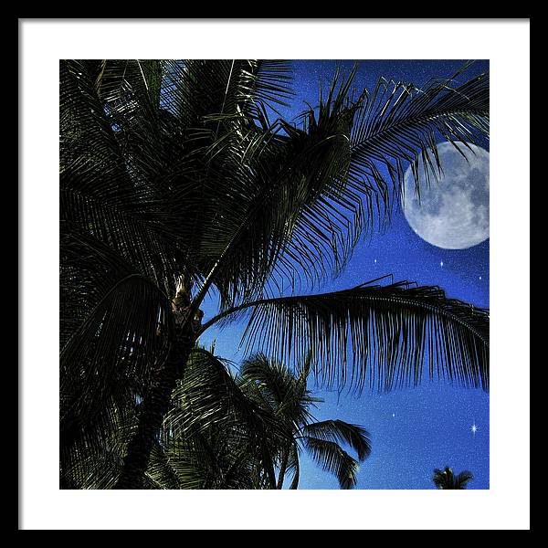 Moon Over Palm Trees - Framed Print