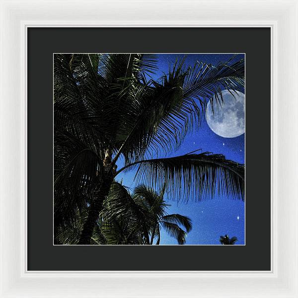 Moon Over Palm Trees - Framed Print