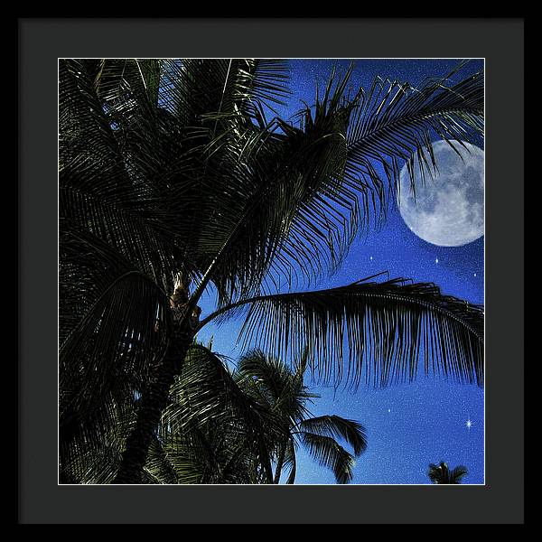 Moon Over Palm Trees - Framed Print