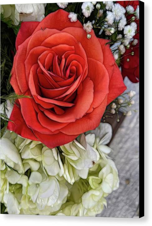 November Flowers 3 - Canvas Print