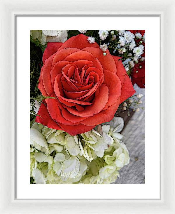 November Flowers 3 - Framed Print