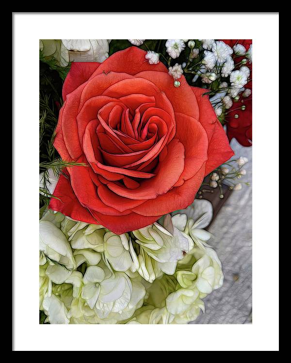 November Flowers 3 - Framed Print