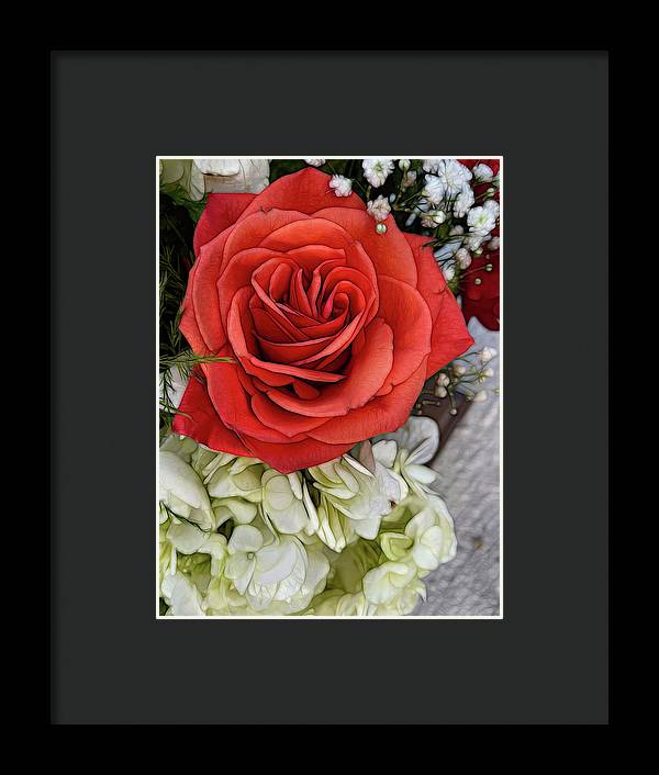 November Flowers 3 - Framed Print