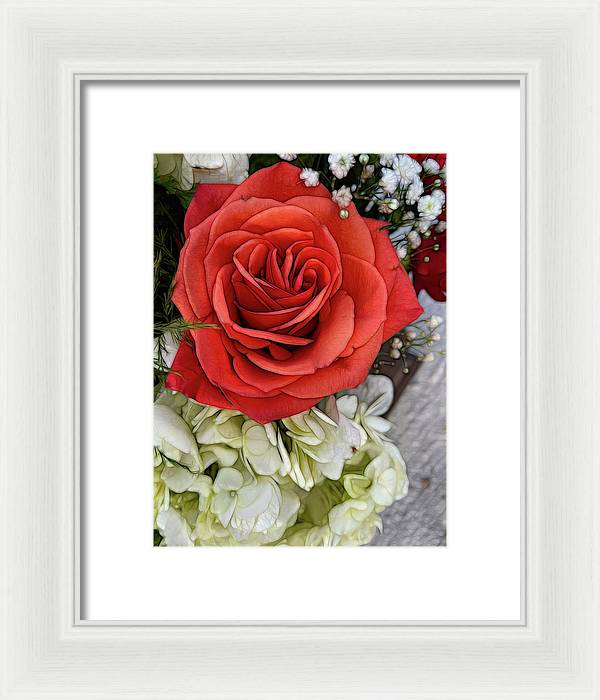 November Flowers 3 - Framed Print