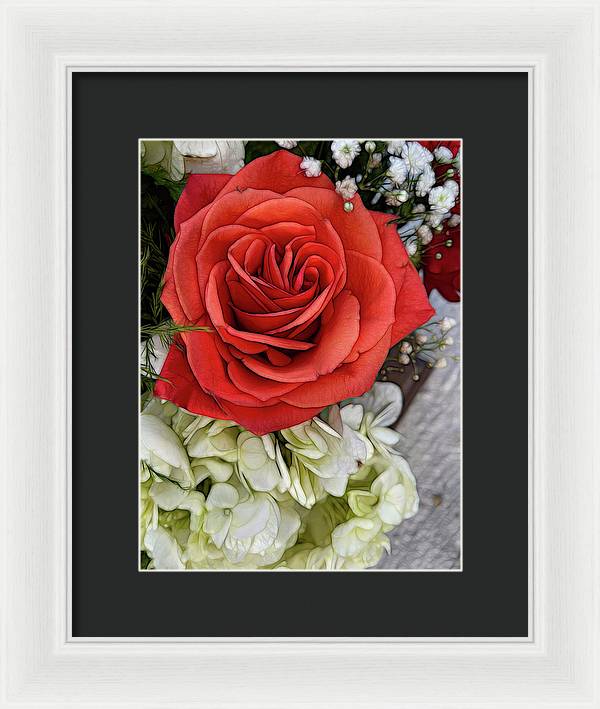 November Flowers 3 - Framed Print