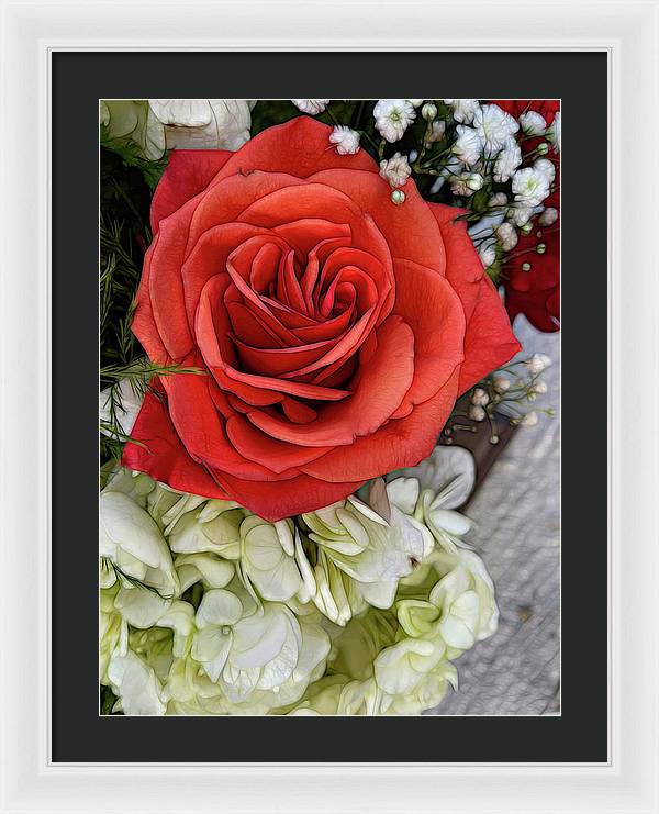 November Flowers 3 - Framed Print