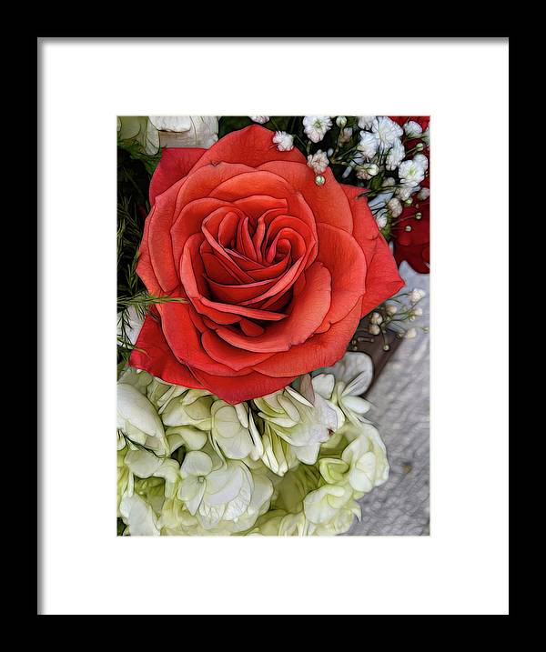 November Flowers 3 - Framed Print